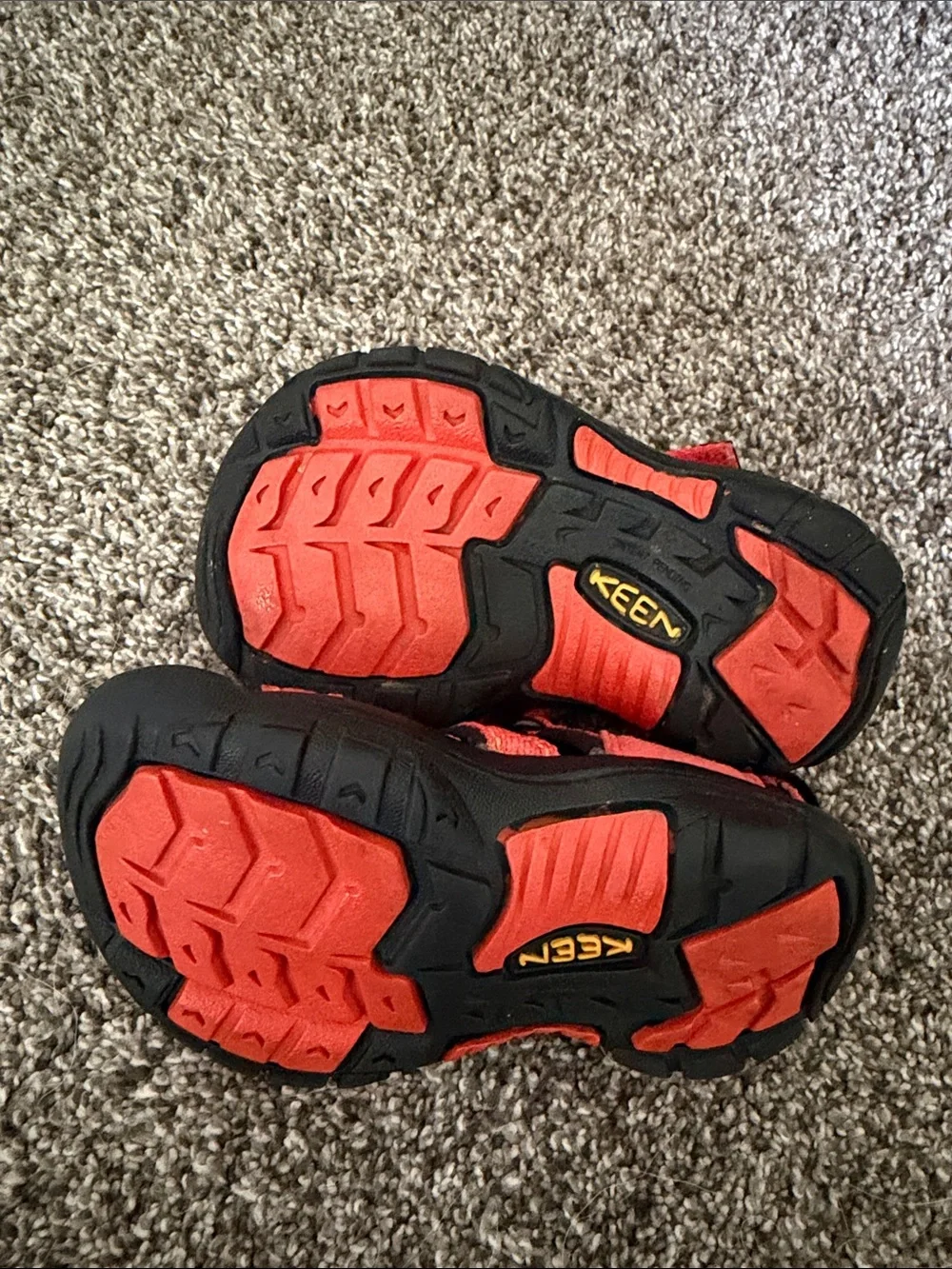 Keen amazing bright